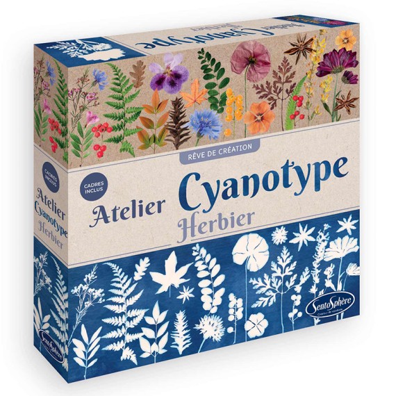 Atelier Cyanotype Herbier